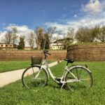 Lucca: City Bike One-Day Rental - What to Expect During Your Day on Two Wheels