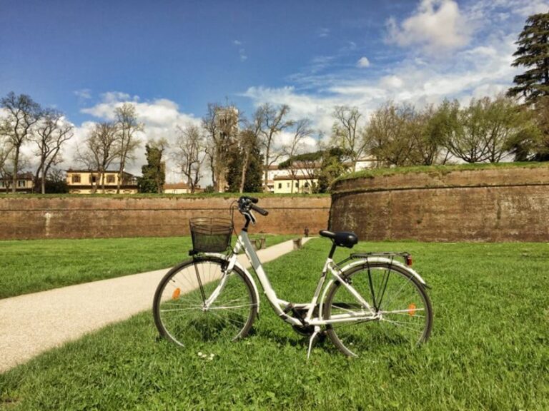 Lucca: City Bike One-Day Rental - What to Expect During Your Day on Two Wheels