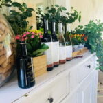 Lucca - Natural wine tasting at Tenuta Mareli - Who Will Love This Experience?