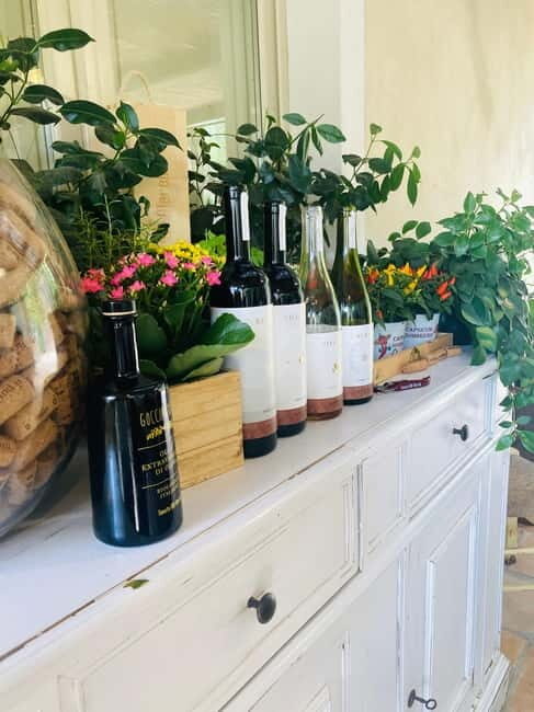 Lucca - Natural wine tasting at Tenuta Mareli - Who Will Love This Experience?