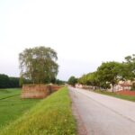 Lucca: Self-Guided Bike Tour to Villa Reale - Practical Details and What You Need to Know