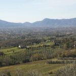 Lucca: Trekking Bike Rental - Why This Bike Rental Is a Solid Choice