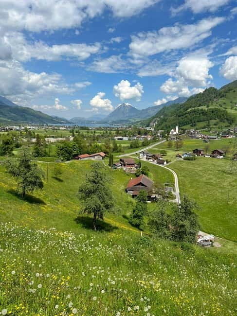 Lucerne: 4 Lakes E-Bike & Lake Lucerne Cruise Private Tour - Final Thoughts: Who Will Love This Tour?