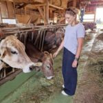 Lucerne: Farm Tour and Cheese Tasting - Who Will Love This Tour?