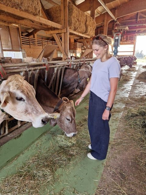 Lucerne: Farm Tour and Cheese Tasting - Who Will Love This Tour?