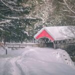 Lucerne: Snowshoe Hiking Adventure to Glaubenberg Langis - The Journey from Lucerne to Glaubenberg Langis