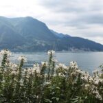 Lugano - Private Walking Tour - Practical Considerations