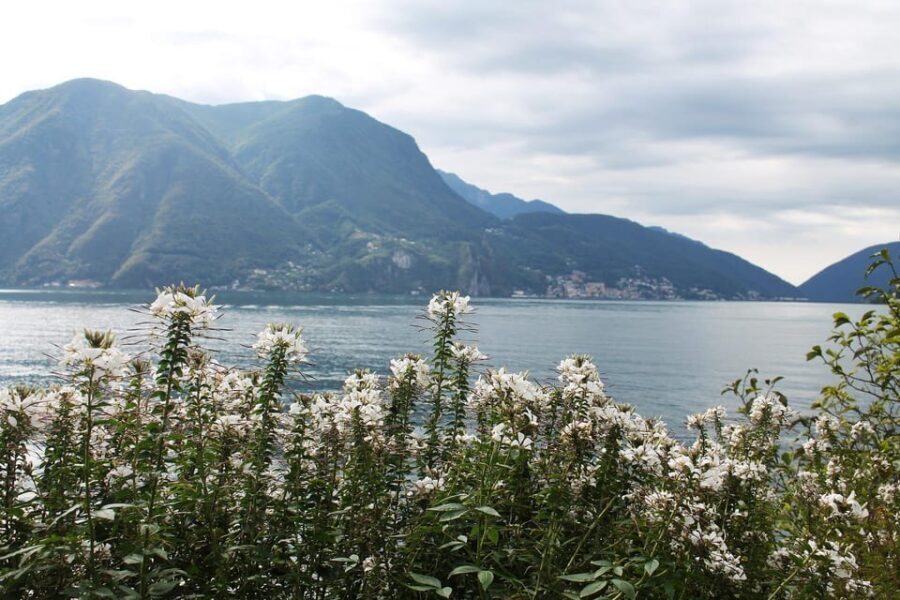 Lugano - Private Walking Tour - Practical Considerations