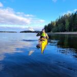 Luleå: Archipelago Kayaking Tour with Guide - What to Expect from the Luleå Archipelago Kayaking Tour