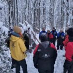 Lulea: Nordic Skills and Bivouac Building with Lunch - Who Should Consider This Tour?