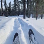 Luleå: Nordic Touring Skiing Adventure - What Makes This Tour Stand Out?