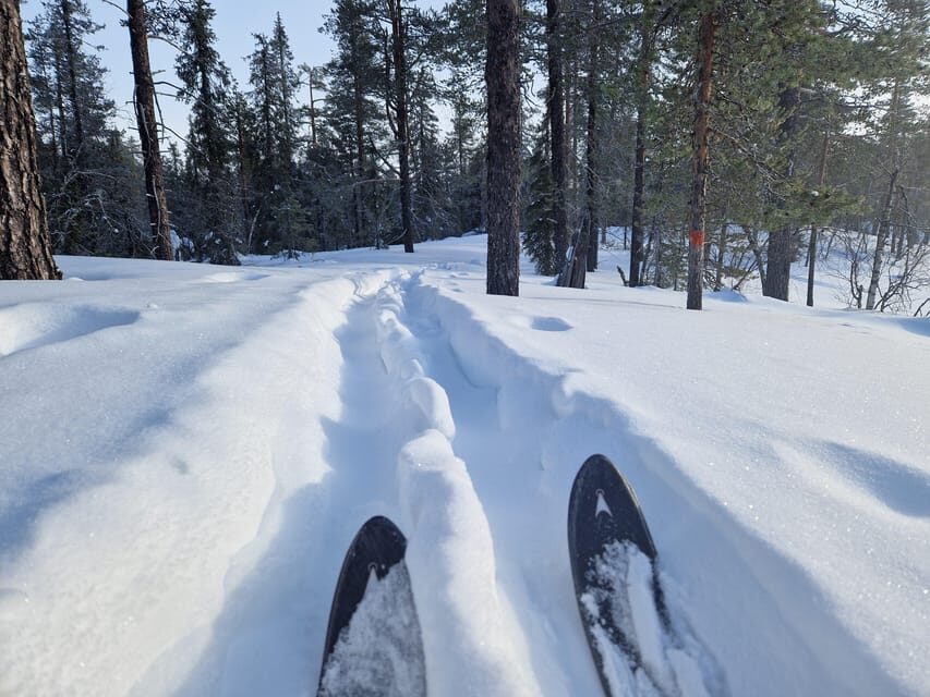 Luleå: Nordic Touring Skiing Adventure - What Makes This Tour Stand Out?