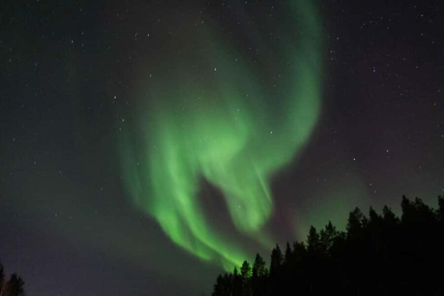 Lulea: Northern Lights Hunt by Car with Transfer - Key Points