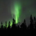 Luleå: Northern Lights Snowshoeing Tour - What Makes This Tour Stand Out?