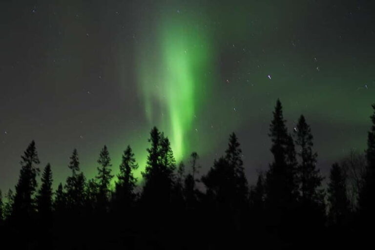 Luleå: Northern Lights Snowshoeing Tour - What Makes This Tour Stand Out?
