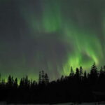 Luleå: Northern Lights Tour by Car with Guide - The Value of Guided Experience in Swedish Lapland