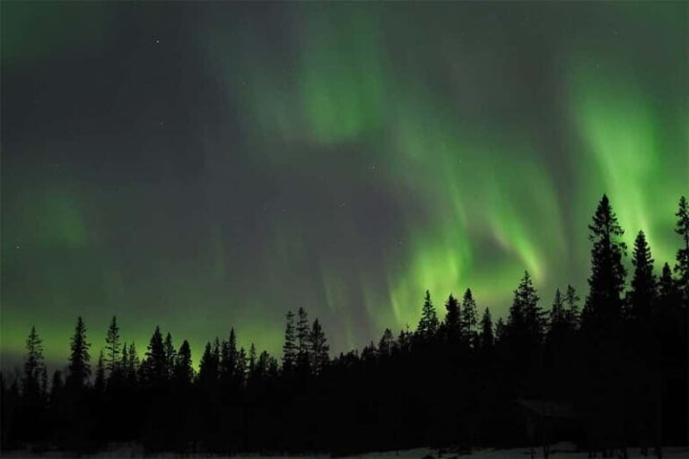Luleå: Northern Lights Tour by Car with Guide - The Value of Guided Experience in Swedish Lapland