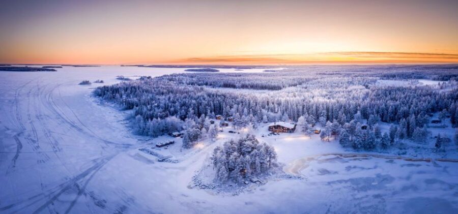Luleå : Snowmobile - Forest and Ice Nature Tour 2h - Why This Tour Will Appeal to You