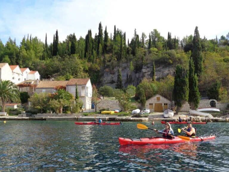 Lumbarda: Half-Day Kayaking and History with Wine delight - Exploring the Itinerary in Detail