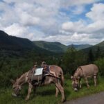 Luvigny: An unusual forest escape with a donkey - A Deep Dive into the Luvigny Forest Adventure