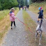 Luvigny: an unusual getaway with donkeys and goats - Is It Worth the Price?