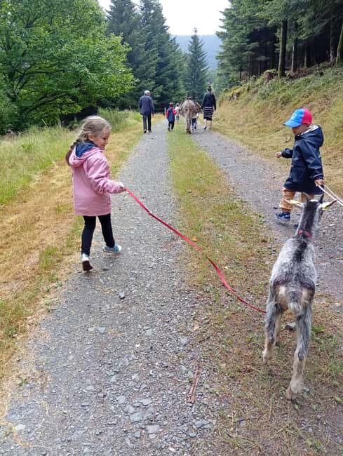 Luvigny: an unusual getaway with donkeys and goats - Is It Worth the Price?