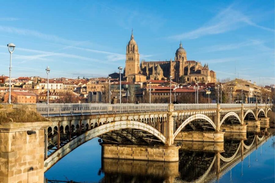 Luxury Salamanca & Iberian Ham Tour from Madrid - Deep Dive into the Experience