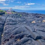 Luxury Wine Tasting at the Czar Pico Winery - The Value and Practicalities