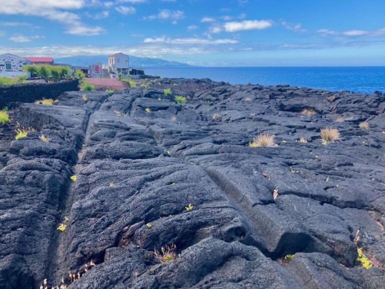 Luxury Wine Tasting at the Czar Pico Winery - The Value and Practicalities