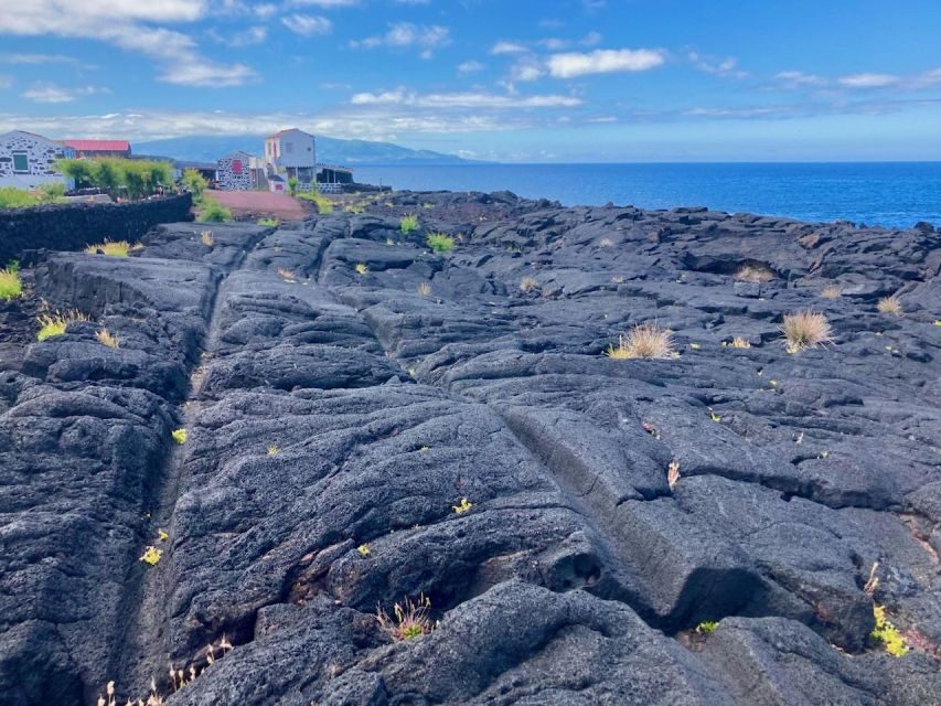 Luxury Wine Tasting at the Czar Pico Winery - The Value and Practicalities