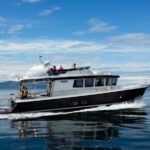 Lyngen: Whale Watching VIP Boat Tour with Lunch - Analyzing the Value