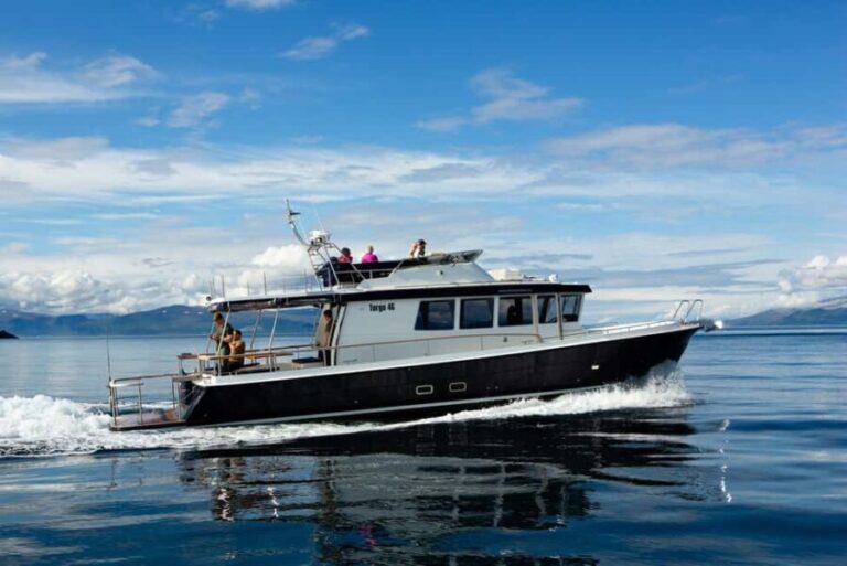 Lyngen: Whale Watching VIP Boat Tour with Lunch - Analyzing the Value