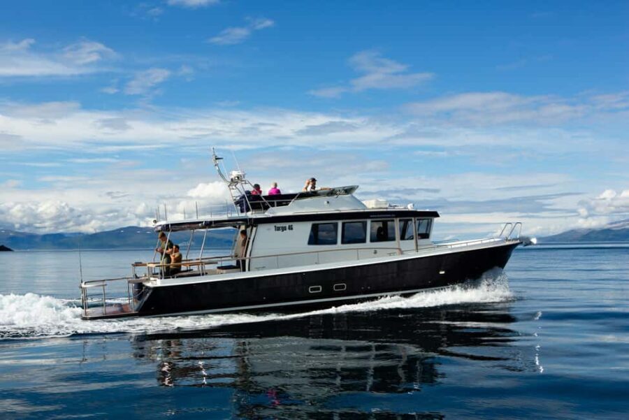 Lyngen: Whale Watching VIP Boat Tour with Lunch - Analyzing the Value