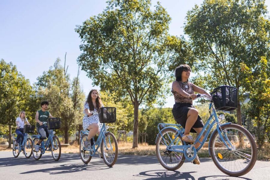 Lyon: city highlights bike tour - What Makes This Tour Stand Out?