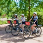 Lyon: Electric bike rental - 2 hours - The Experience Provider and Similar Alternatives