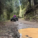 Madeira: ATV or QUAD off-road private adventure - Value and Practicalities