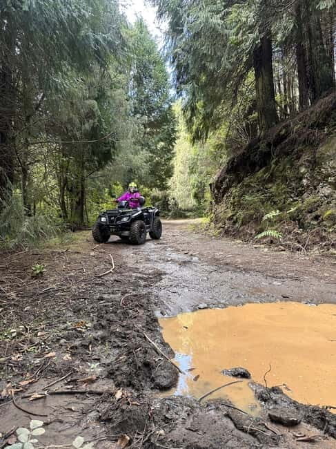 Madeira: ATV or QUAD off-road private adventure - Value and Practicalities