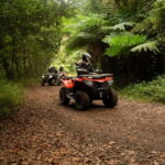 Madeira: Aventura Off-Road de ATV ou Quad - Adrenalina - Authentic Experiences and Reviewer Insights