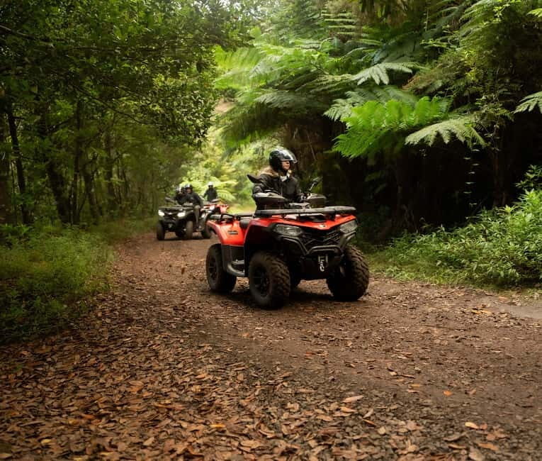 Madeira: Aventura Off-Road de ATV ou Quad - Adrenalina - Authentic Experiences and Reviewer Insights