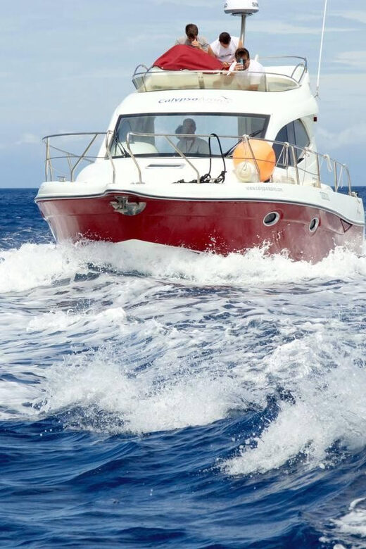 Madeira: Boat trip - FAQ