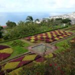 Madeira: Botanical Garden in a Tuk-Tuk Tour - Who Will Love This Tour?