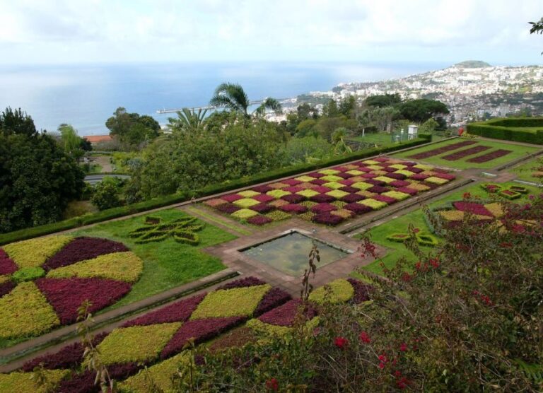 Madeira: Botanical Garden in a Tuk-Tuk Tour - Who Will Love This Tour?