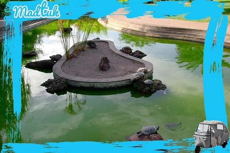 Madeira: Botanical Gardens + Old Town Tuk-Tuk Tour by MadTuk - Detailed Breakdown of the Itinerary