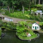 Madeira: Botanical, Monte Palace, and Palheiro Gardens - Who Is This Tour Best For?