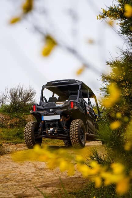 Madeira: Buggy FunTrip - Guided Off-Road Adventure with a Can-Am Buggy - The Practicalities: What You Need to Know
