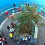 Madeira: Cabo Girao, Jeep Tour Adventure and Wine Tasting - The Itinerary in Detail