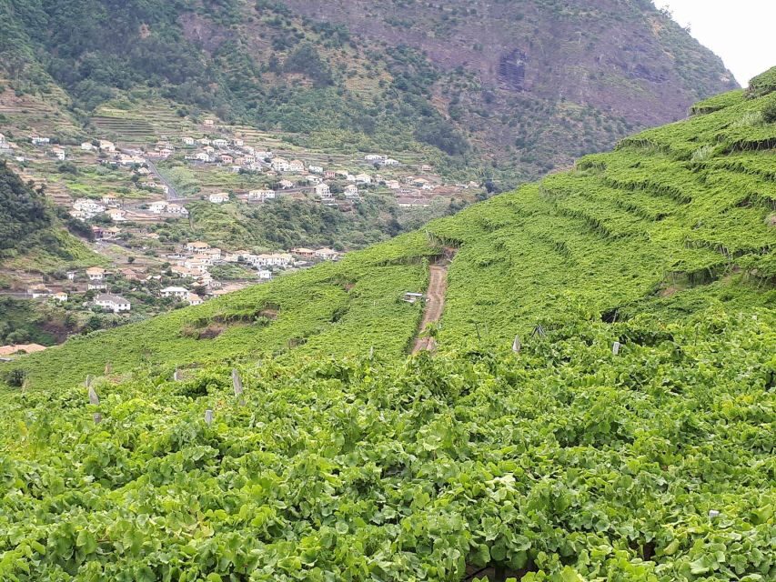 Madeira: Cabo Girão, Wine Tasting, & Serra d'Água Jeep Tour - The Experience from Reviews