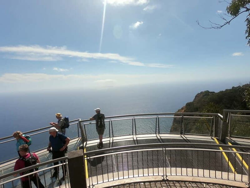 Madeira: Cabo Girão, Wines Experience and Dolphins Watching - Practical Tips & Considerations