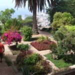 Madeira: Customized 3, 4 or 6-Hour Tour - What Makes This Tour Stand Out