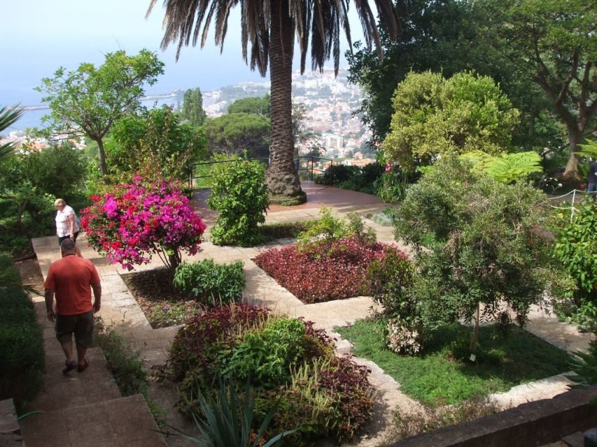 Madeira: Customized 3, 4 or 6-Hour Tour - What Makes This Tour Stand Out